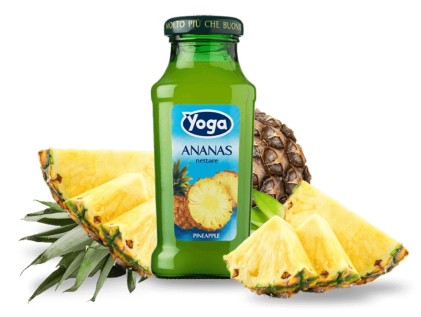 [YOGA.18] YOGA BAR ANANAS ML 200 X 24 Pz