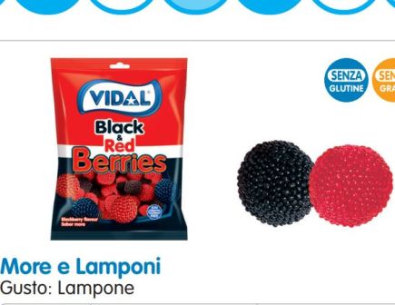 [VIDAL.23] BST. MORE LAMPONI DA Gr.90 X 14