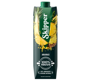 [ZUEGG.29.1] [ZUEGG.29.1] SK SUCCO ANANAS BRIK  LT1 X 12 PZ